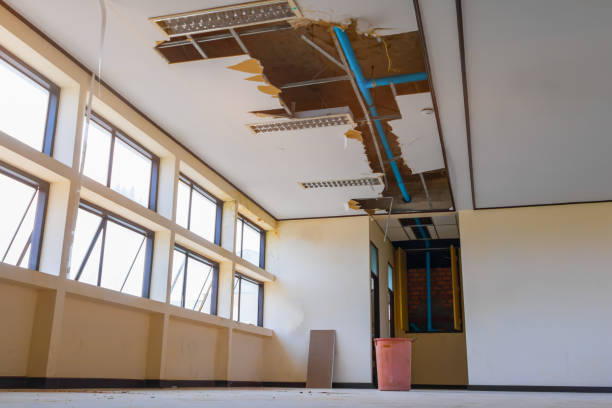 Best Ceiling water damage repair  in Georgetown, KY