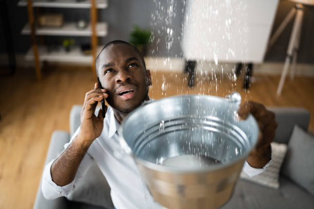 Best Water damage restoration specialists  in Georgetown, KY