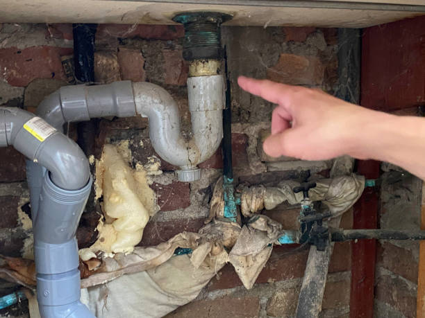 Best Professional water damage repair  in Georgetown, KY
