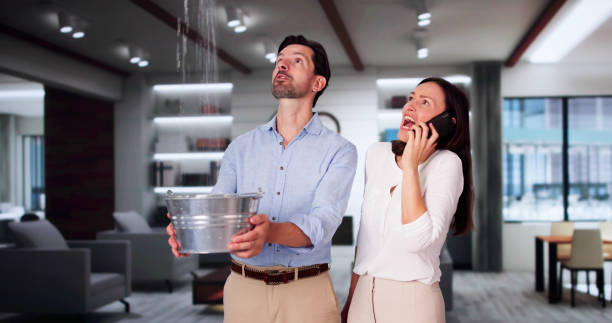 Best Ceiling water damage repair  in Georgetown, KY