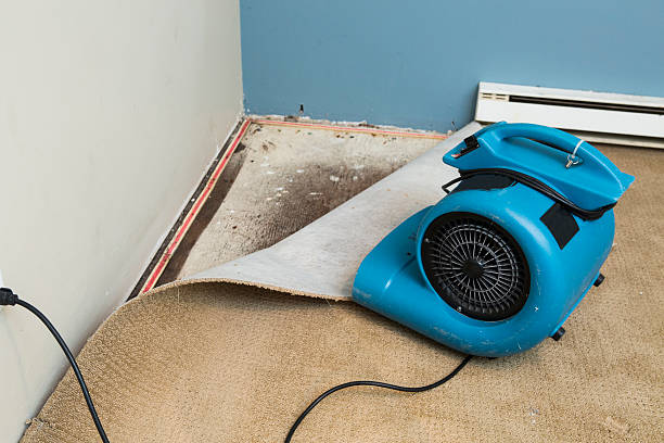 Best 24-hour water damage restoration  in Georgetown, KY